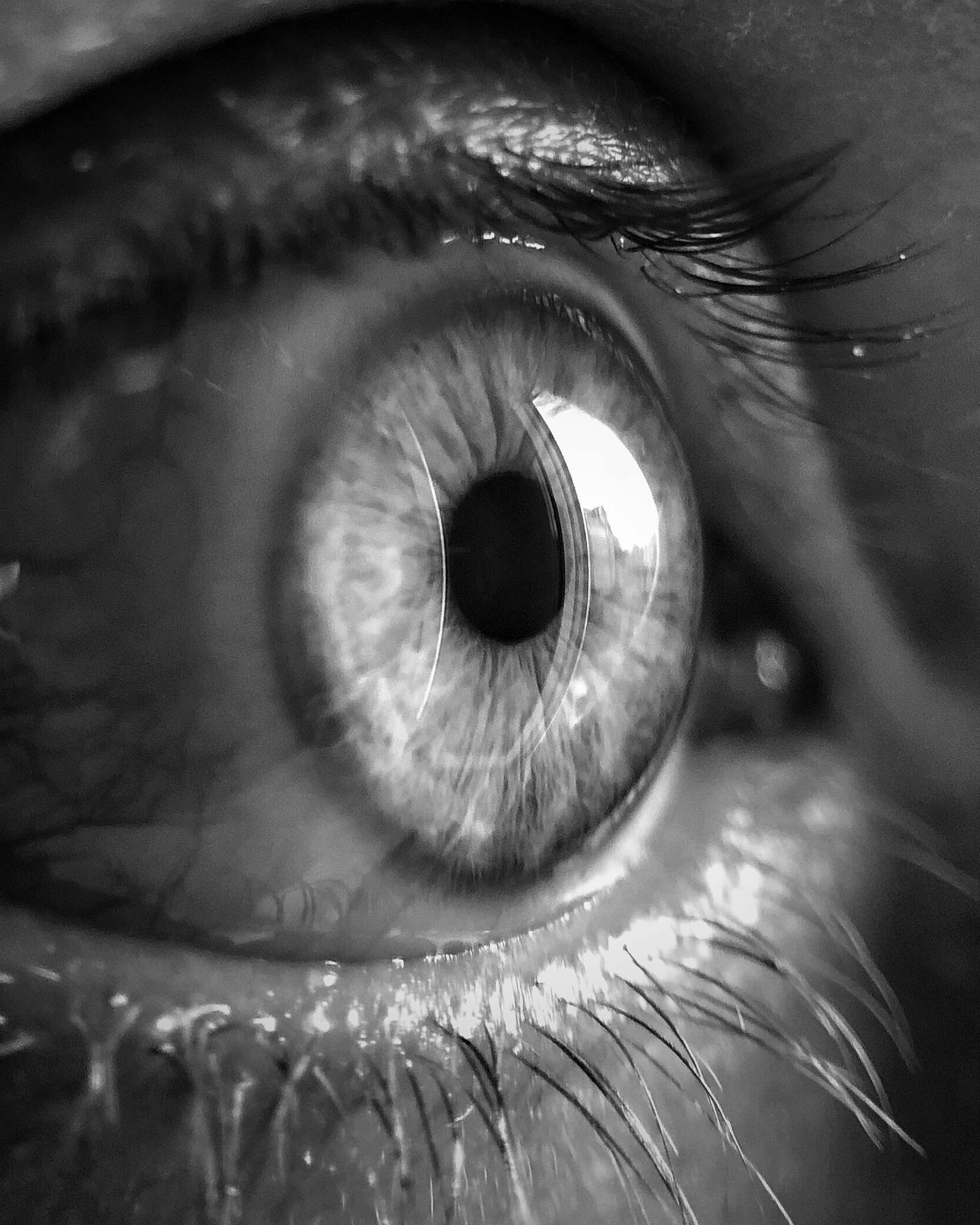 Where Vision Meets Execution